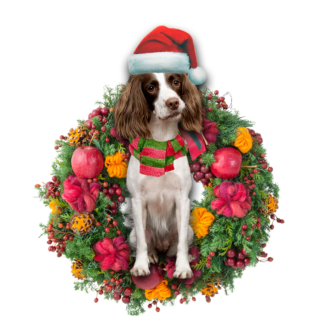 Springer spaniel christmas ornament